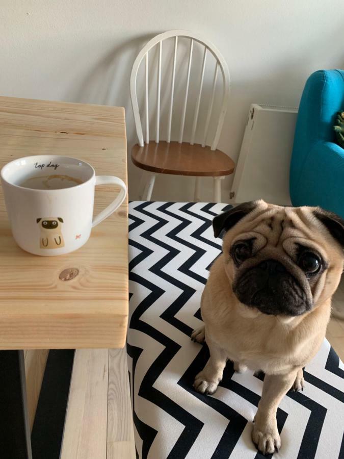 Cute Pug Guest Room Copenhague Exterior foto